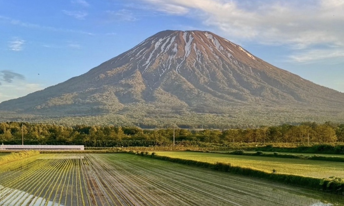 羊蹄山を望むニセコの風景